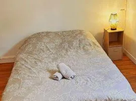 Maison partagée 3 chambres Saint Roch Roubaix