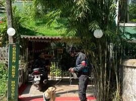 GREEN NEST HOSTEL - Anjuna - North Goa