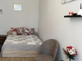 Šiauliai City Apartment