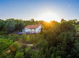 Guest House Ferri e Zani