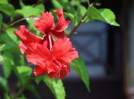 ウィークリー宿家里, hotel in Akaren