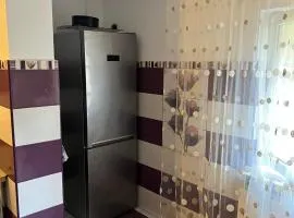 apartament 2 camere zona centrala 0