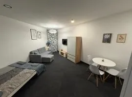 Apartament pod wieżą