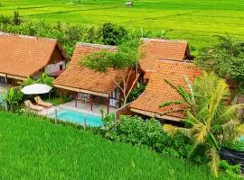 Rumah Tengah Sawah Bali