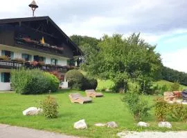 Gschwendtnerhof App25 Schaub