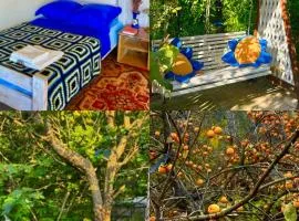 The Secret Garden House