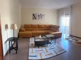Large apartment near Porto- Paços de Ferreira