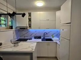 City Center Luxury Apartment