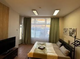 WümmeLoft - Das City Apartment