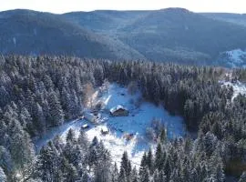 Gite à la ferme aux Alpagas