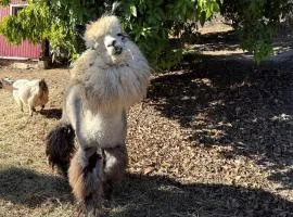 Pet Friendly Breathtaking Cottage with Hot-tub in Rainbow, California