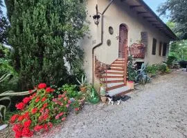 Villa Carla - vicino alla Riviera del Conero e ai Colli dell' Infinito