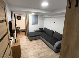 Apartment typu suite LE BLEU