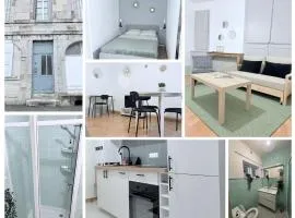 - N13 - Appartement calme et spacieux, centre ville