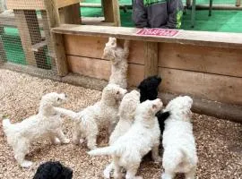 Sheepy Lodge by SkyBears Holidays - Puppy Lounge, Arcades, Games room