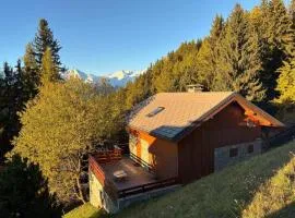 Chalet confortable avec billard, cheminée et Wifi à Vallandry - FR-1-411-545