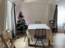 Les baleines - hypercentre 2 chambres avec garage et clim - air conditioning