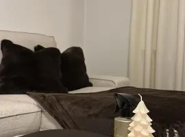 Beautiful apartment in malmo close to centrum