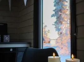 Palas Experience Olkkajärvi Resort