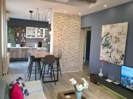 Luxury Mihajlovik Apartment in the City CENTER of SKOPJE