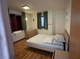 Jack Apartment In Pinzolo Center