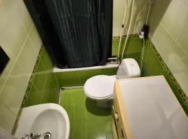 Parcul Ștefan cel mare