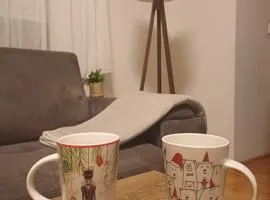 Apartman Telep Novi Sad Retreat Balcony Garden Free Parking