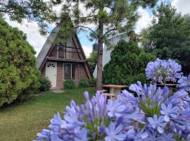 Cabañas Alpinas San Pedro, hotel v destinaci San Pedro