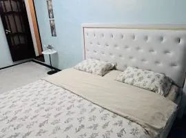 Авангард 3-43