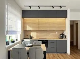 Poznań Wilda -Apartament Fabryczna