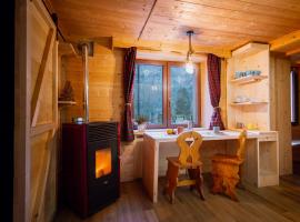 Dolomiti Urban Lodge - casa Civetta, hotel in Cencenighe