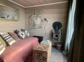 Tiny house on wheels with great views Sjusjøen