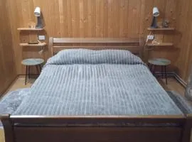 Карпатські ночі