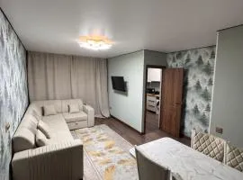 3-х комнатная квартира Аэропорт