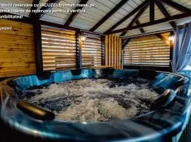 Premium Central Apartments - cu jacuzzi, terasa incalzita, parcare