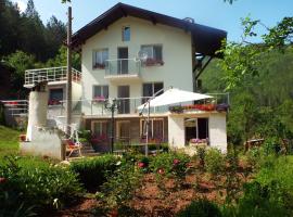 The Illuminating House, holiday rental in Lomnitsa