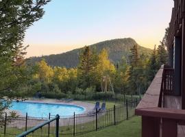 Cozy 1 bed end unit ski in ski out condo, hotel u gradu Lutsen