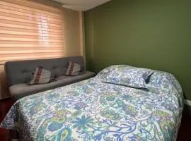 The Mountain Apto House