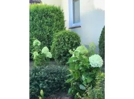 at the gates of Hamburg