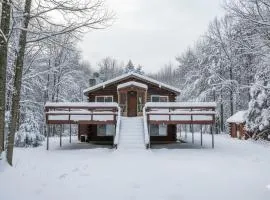 Ski Chalet I EV Charger Sauna I Hot Tub I Movie Room & Firepit I PET Friendly