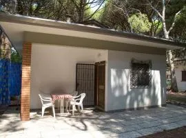 Holiday home in Eraclea Mare 25653