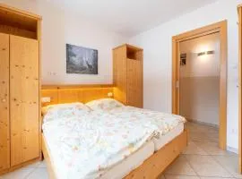 Apartment in Hollersbach with terrace