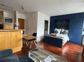 Grand Studio avec balcon, fibre internet - FR-1-555-121