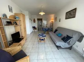 Spacieux appartement 4 pers, terrasse, parking, Sarzeau centre, proche plages - FR-1-775-49