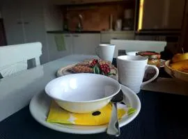 Hopeaniitty Pihasviitti