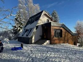 Kuća za odmor Šumska vila