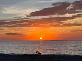 Buddy's Beach House Sipalay