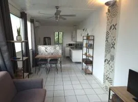 Provence Studio 33 m2