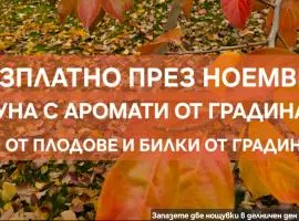 Galeria In The Garden