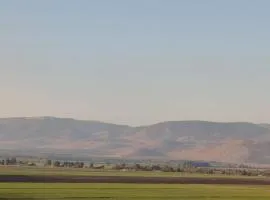 שלווה בנוף העמק